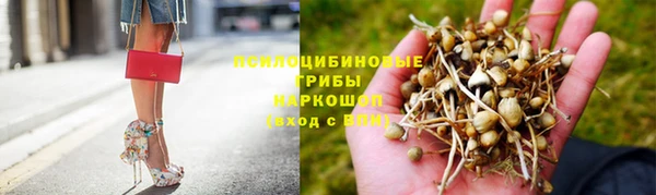 шишки Абаза