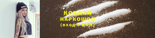 шишки Абаза